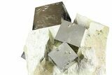 Museum Quality Pyrite Cube Cluster In Matrix - Spain #361788-1